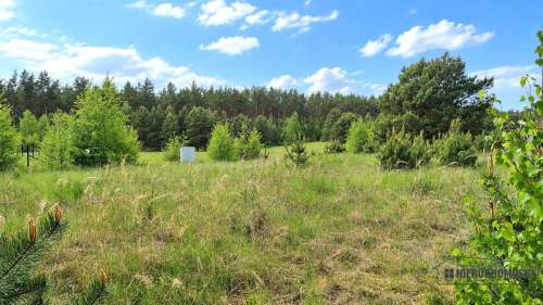 Działka budowlana nad pięknym jeziorem Dołgie.