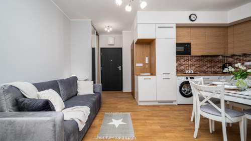 Apartament studio, Krzemieniecka 8/44