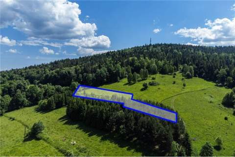 Widokowa działka w sąsiedztwie Zawoji