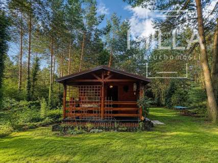 Leśne siedlisko z domkiem 2361m2 Gmina Zgierz