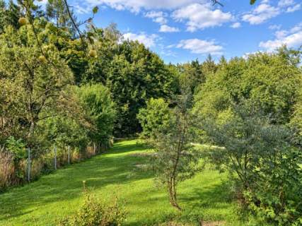Alwernia 4 pokoje działka 1650 m2