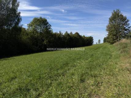 Działka budowlana 5100 m , podział, MPZP, asfalt