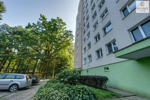 3-pokojowe mieszkanie z widokiem na korony drzew.