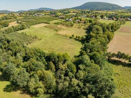 Działka rolno-leśna, 1,56 ha, Sadek, Jodłownik