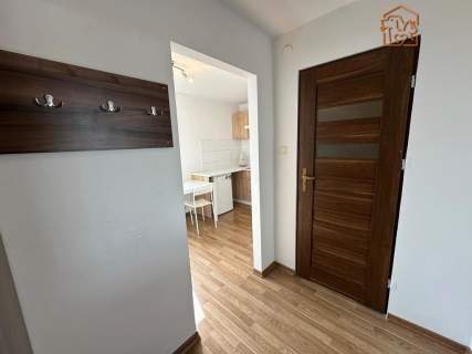 Fołtyn 3, Gołębiów, studio przyjazne dla zwierząt