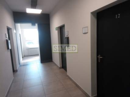 Mały biurowiec po remoncie,parking,sotęp24h