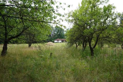 DZIAŁKA GRANICZĄCA Z PUSZCZĄ ZIELONKĄ