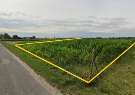 DZIAŁKA BUDOWLANA W GRODZISKU - BLISKO ZBUCZYNA