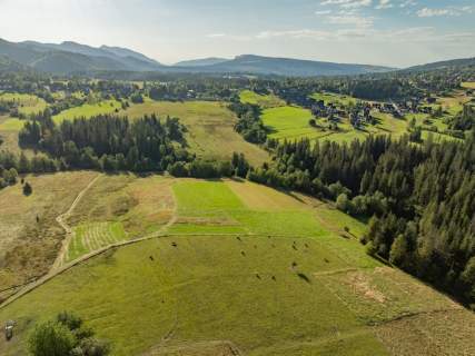 Działka rolna 3115 m Kościelisko