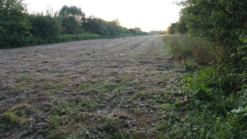 Nieruchomość w Nadbrzeżu.