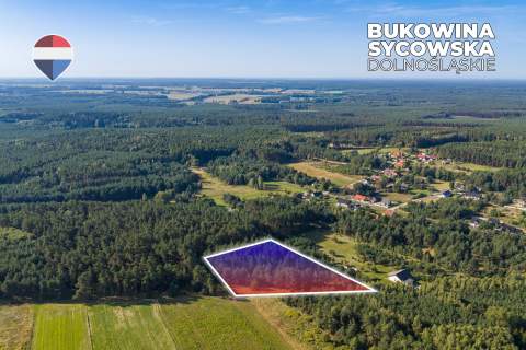 Działka leśna pow. 29.600 m , Bukowina Sycowska