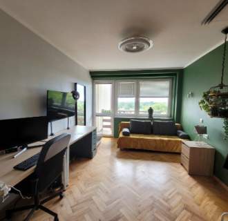 166 m2, 5 pokoi po generalnym remoncie, ogródek