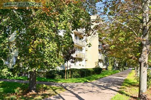 Saska Kępa dwupokojowe, kuchnia, balkon sprzedam