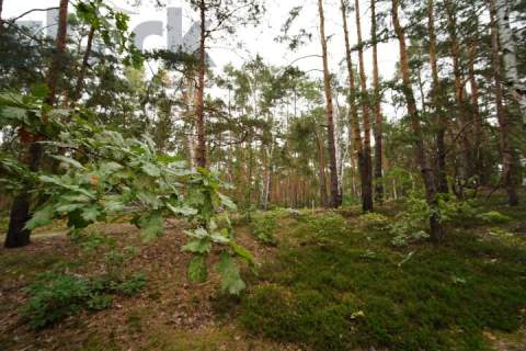 Działka budowlana na Wydmach 2221 m2 - bez prowizji Rezerwacja