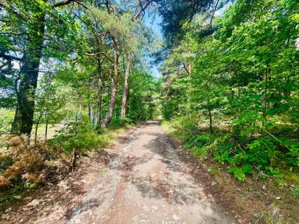 Złoty Widok na Twoją Przyszłość 1800 m2 Słupice