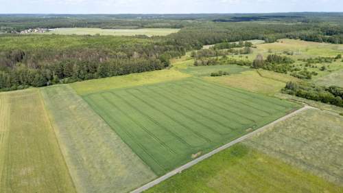Działka rolna Hadra 4,6440 ha