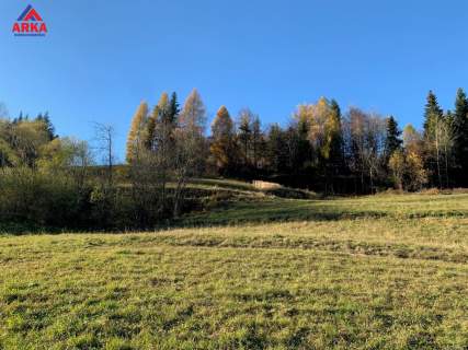 Wyrębiska Szczawskie - Twoja enklawa na 780m n.p.m