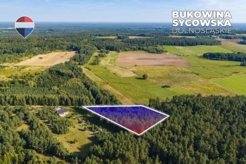 Działka leśna pow. 29.600 m , Bukowina Sycowska