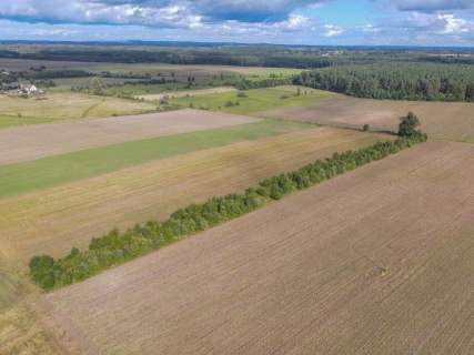 Działka rolna na sprzedaż, 5000 m2, Białogórzyno