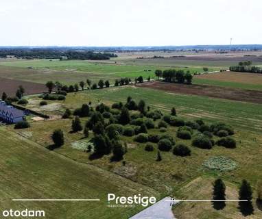 Jezierzany 3225 m2, 3 km od morza, MN/U, 250 000 zł