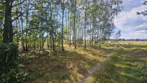 Działka, Wólka Wytycka, 10 ar, budowlana