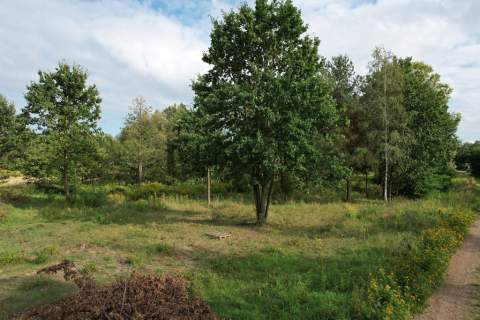 Działka Budowlana 1 500 m2, Błonie Gmina Prażmów
