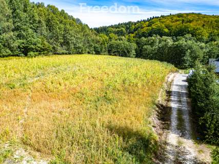 Widokowa działka 1,09 ha pod lasem   Nawsie, cisza