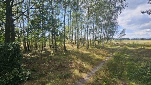 Działka, Wólka Wytycka, 10 ar, budowlana