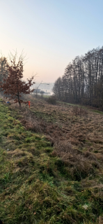 PIERWSZA LINIA BRZEGOWA Działka z widokiem na jezioro