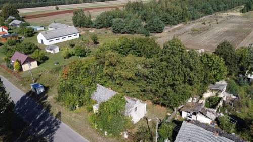 Siedlisko 2,5 ha Andrzejów gm. Przyłęk mazowieckie