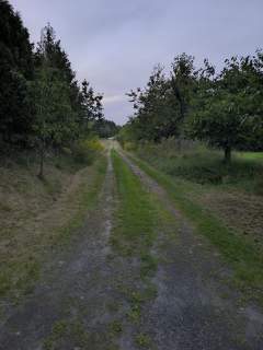 Wyjątkowe siedlisko 1,2 ha, 2 domy, ogromny potencjał.