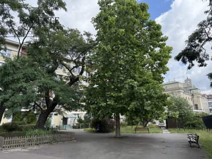 2 pok Osobna Kuchnia/Narożne/Piwnica/Żoliborz/KW