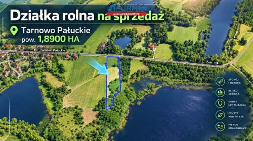 Działka na sprzedaż, 18900 m2, Tarnowo Pałuckie