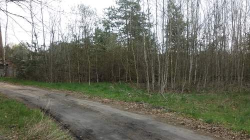 działka budowlano-rekreacyjna Wilków