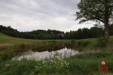 Dom wśród natury