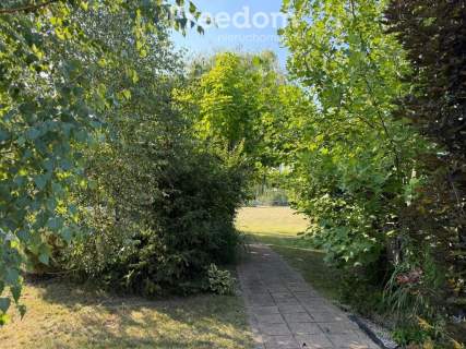 Działka budowlana 5112 m Cekanów potencjał in