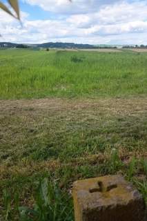 Działka rolna Cholerzyn 5400 m2