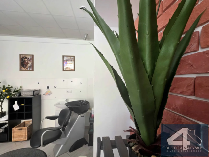 Salon fryzjerski 21m, witryna, ok Łobzowskiej 2