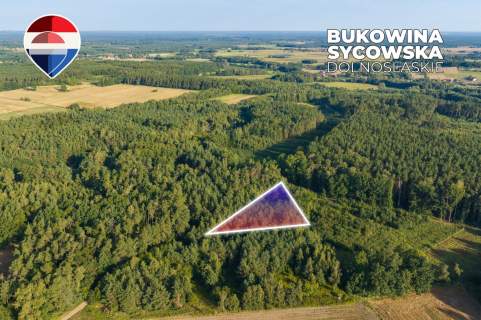 Działka leśna pow. 29.600 m , Bukowina Sycowska