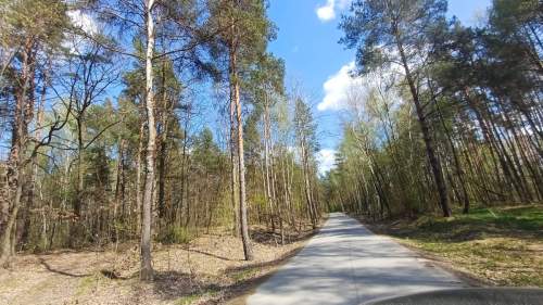 Działki budowlane pod lasem gmina Warka , Borowe