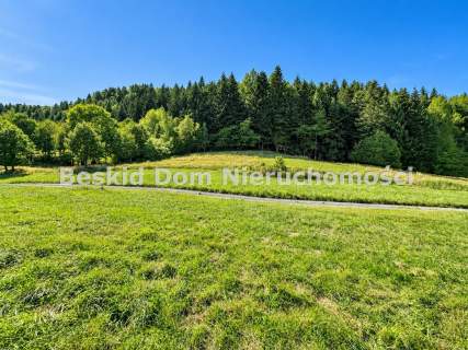 Widokowa działka rolna 2479 m w Lipowej Bugaj