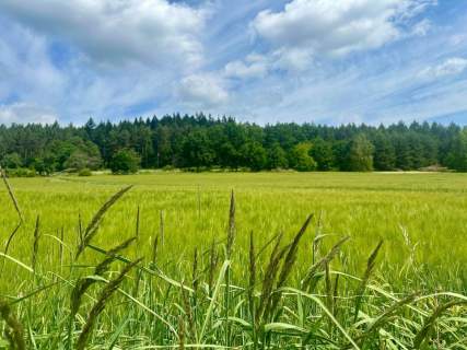 Złoty Widok na Twoją Przyszłość 1800 m2 Słupice