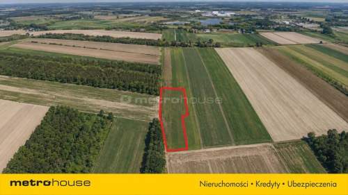 Działka wśród lasów tylko 7 min od Suntago