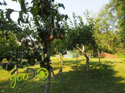 Dom 67 m2 działka 1697 m2 57x30 Jagodne