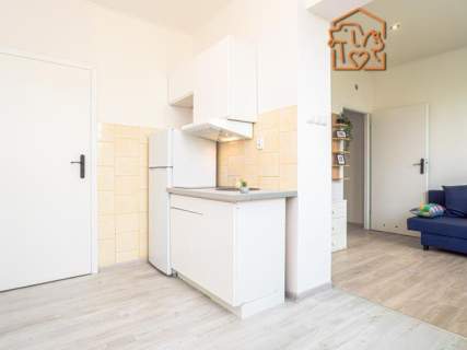 2 pokoje, pet-friendly - Chodkiewicza 30