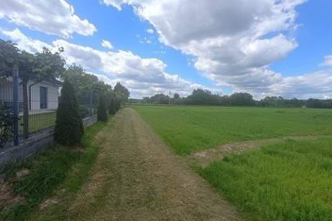 Działka rolna Cholerzyn 5400 m2