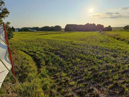 Działka przy trasie 714 Grodzsko Rzgów pow. łódzki wschodni