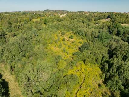 Włosań, działka rolna, 49 arów