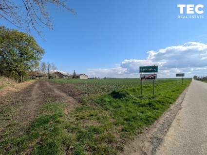 Ponad 51 arowa działka budowlano - zagrodowa