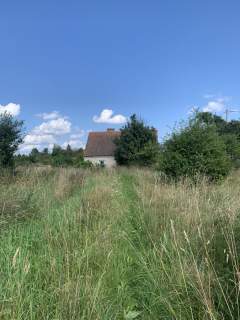 SIEDLISKO W GROMIE, GM. PASYM - 3,59 HA / 310 M O